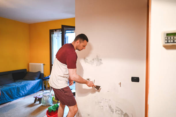 Best Attic Mold Remediation in Ford City, CA