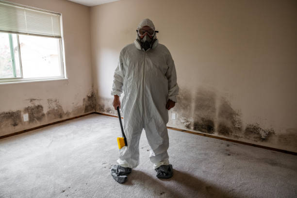 Best Residential Mold Remediation in Ford City, CA