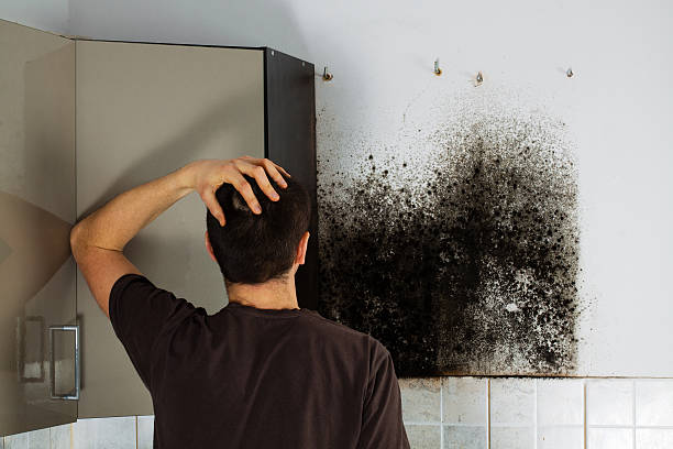 Best Crawl Space Mold Remediation in Ford City, CA